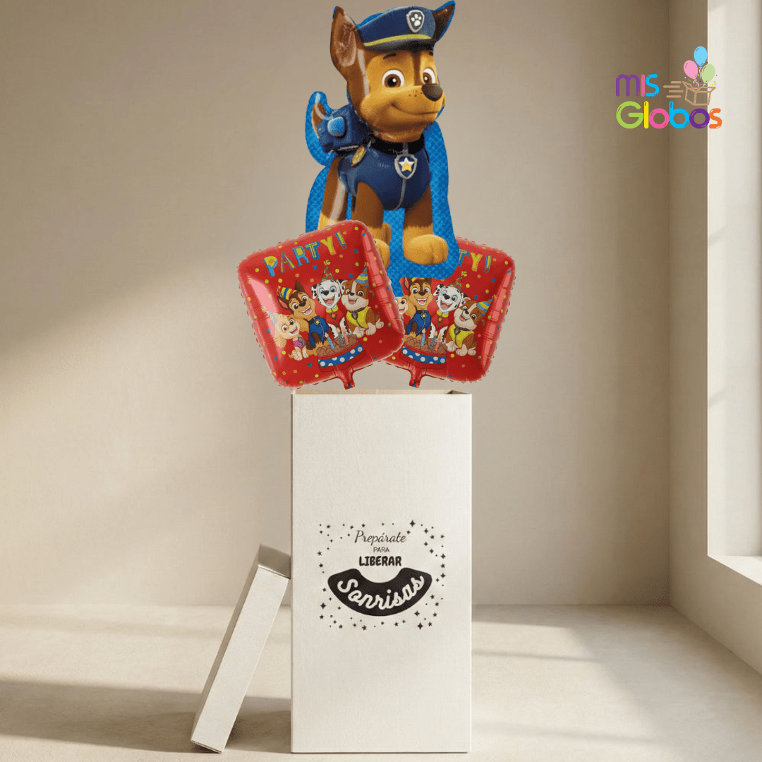 Caja GloBOOM Super Patrulla Canina