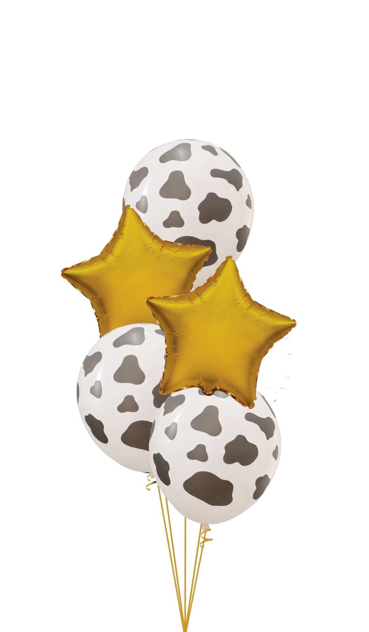 Ramo Vaca - Mis Globos