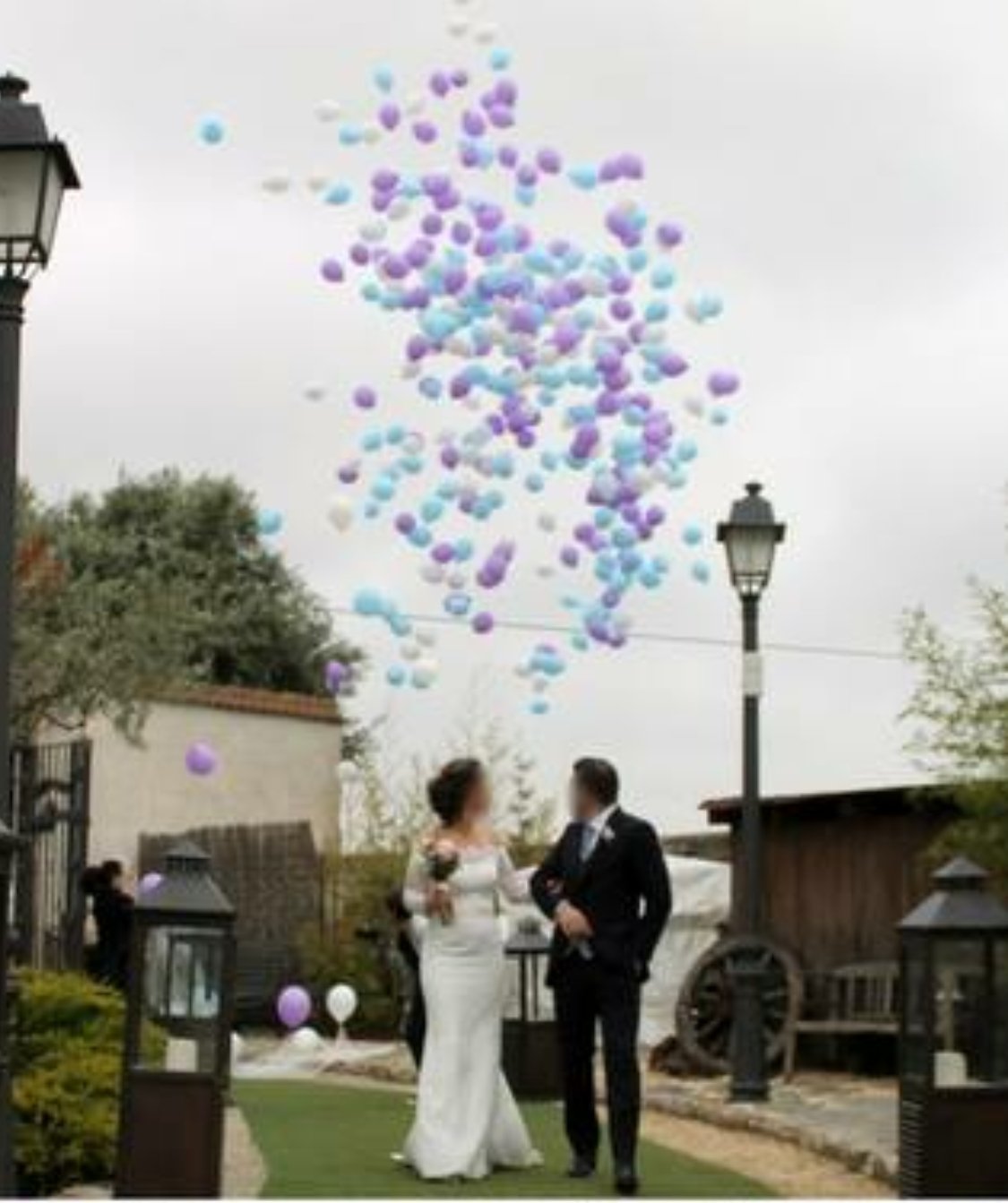 Suelta de globos en red - Mis Globos