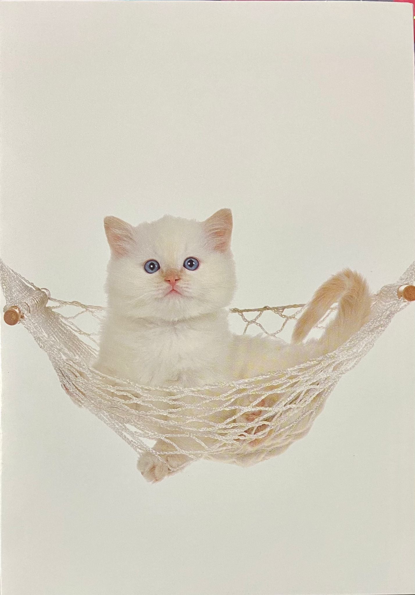 Tarjeta Gatito - Mis Globos