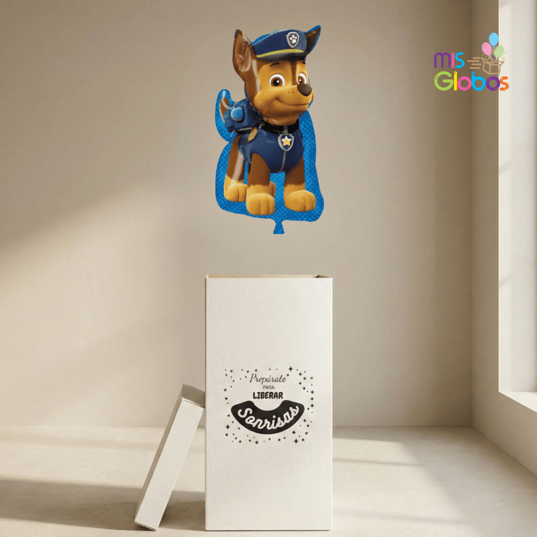 Caja GloBOOM Patrulla Canina